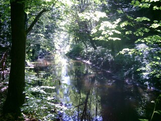 Appartamento per vacanze Pirna Ambiente 16