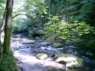 Vakantieappartement Pirna Omgeving 13