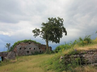 Ruine Lindelbrunn