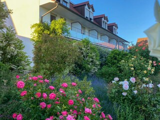 Garten 1