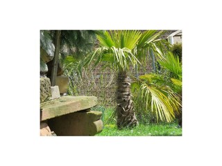 Garten, Bild2