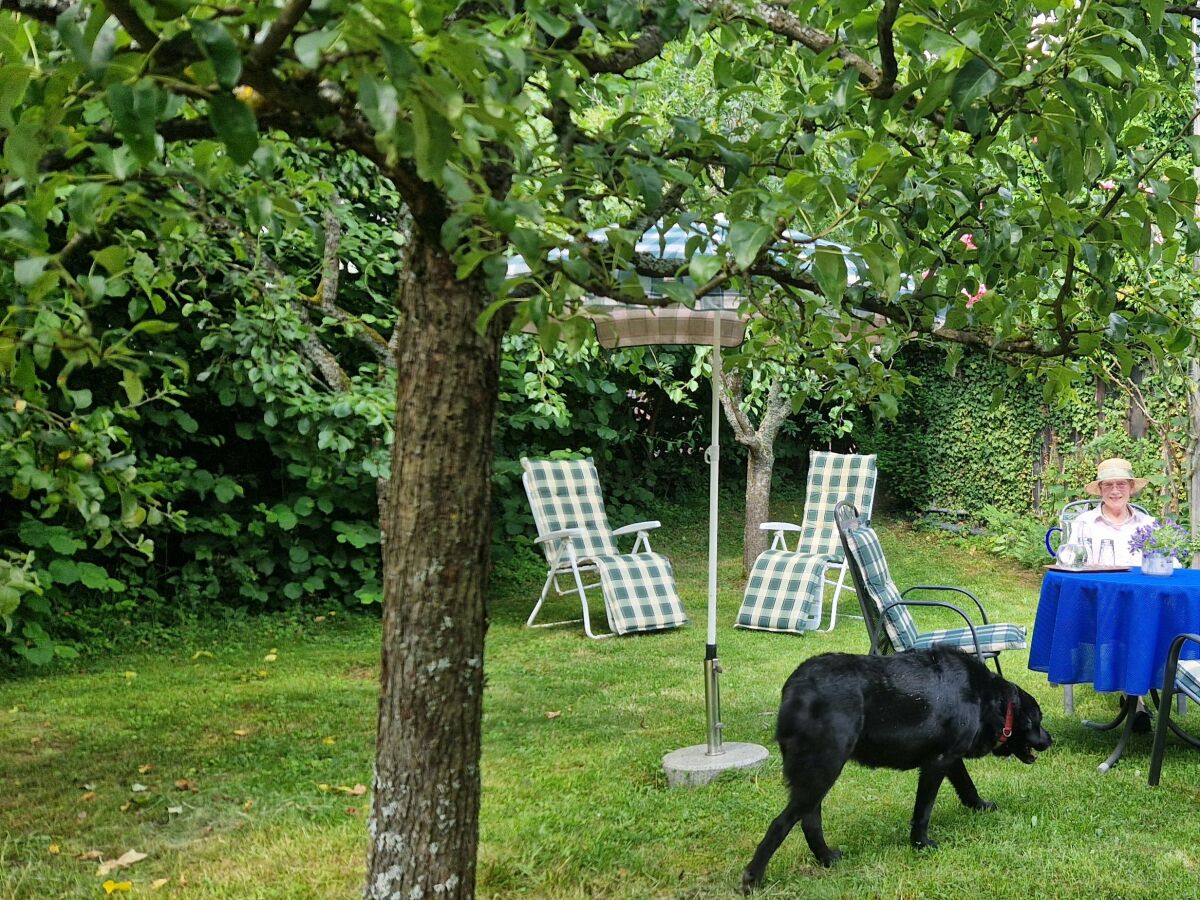 Garten (2)