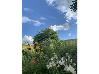 IMG_1916