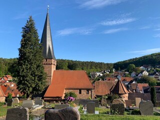 IMG_6031