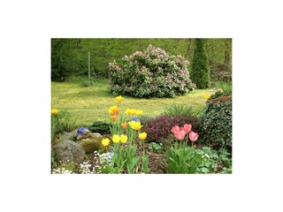 Unser Garten