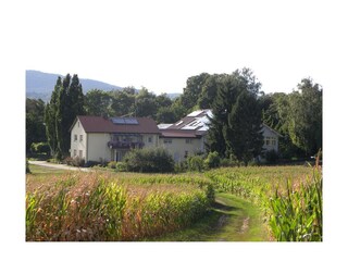 In freier Natur