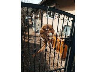 Garten und Hofeingang