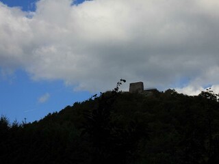 Blick zur Burgruine Lindelbrunn