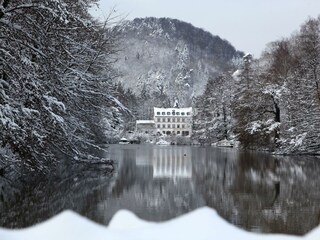 Schwanenweiher im Schnee (3)