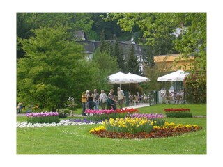 Kurpark im Frühling