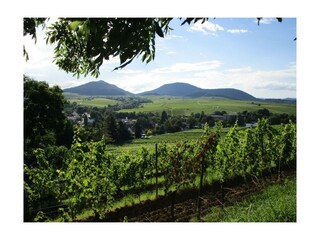 Wanderparadies durch Weinberge und Wald