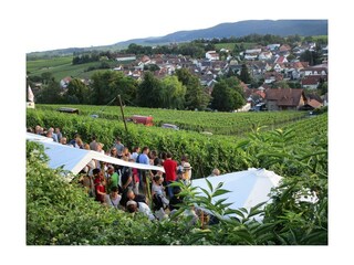 Weinfest in den Weinbergen