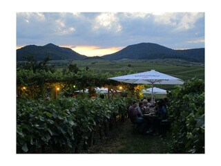 Abendstimmung  beim Weinfest