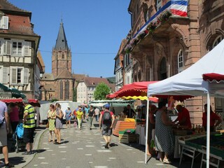 Wochenmarkt in Weißenburg