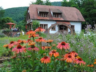 Kraeutercafe_Walther