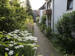 Hauseingang-Nordseite