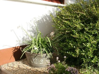 Gemütlicher Garten