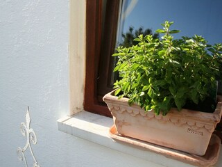 Schöne Kleinigkeiten
