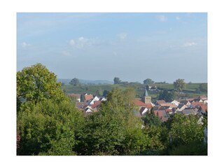 Blick aus dem Garten