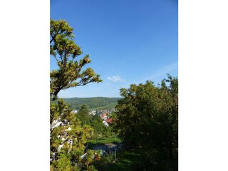 Blick aus dem Garten 3