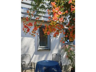 Terasse mit Sitzgelegenheit