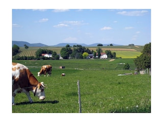 Der Eichenhof - mitten im Grünen gelegen