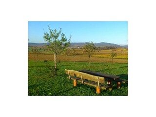 In freier Natur zwischen Äckern und Reben