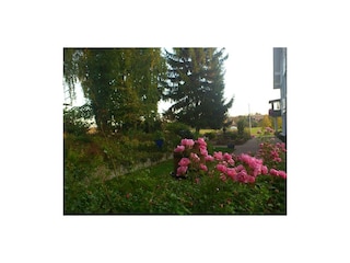 Von viel Grün umgeben