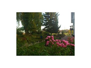 Von viel Grün umgeben