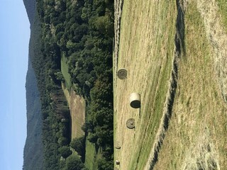 IMG_0935