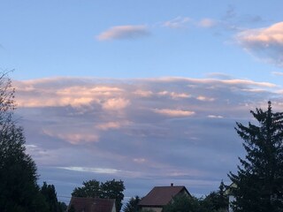 IMG_0992
