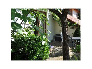 Ferienwohnung-Terrasse