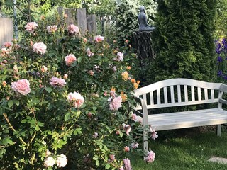 rose_mit_bank