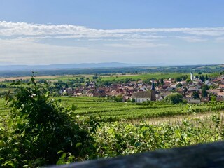 Blick über Schweigen-Rechtenbach