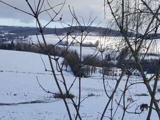 Winterimpression