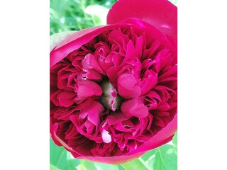 IMG_20230527_184413_resized_20241123_041921907