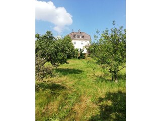 Blick zum Haus aus dem Garten