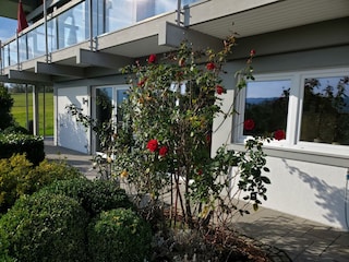 Haus Seitenansicht