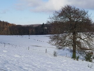 Hirtscheid Hills im Winter