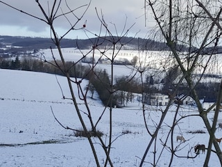 Winterimpression