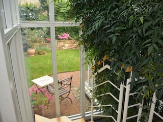 Blick in den Garten