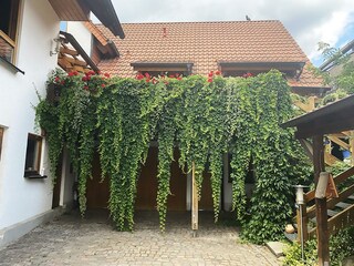Appartement Kirrweiler Buitenaudio-opname 3