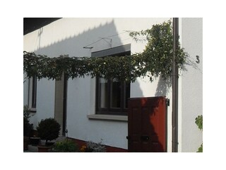 Appartement Kirrweiler Buitenaudio-opname 2