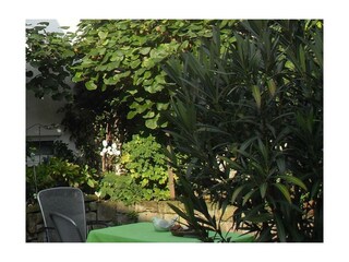 Appartement Kirrweiler Buitenaudio-opname 3