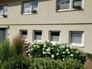 Ansicht außen Ferienwohnung