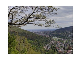 Appartamento Neustadt an der Weinstraße Registrazione all'aperto 17