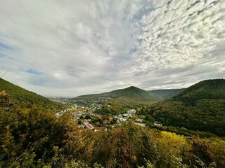 IMG_3408