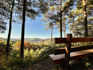 IMG_3482