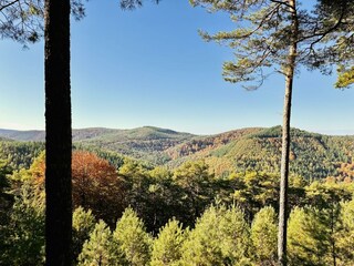 IMG_3478