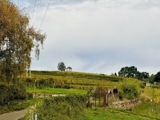 IMG_3335